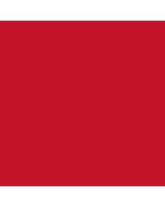 Duni serv 33/2l rood 16x125  180384