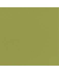 Duni serv 33/2l  herbal green 16x125  165512