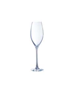 Champagneglas - C&S Grand Cepage - 24 cl - Per 6